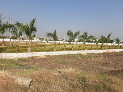 Project Images