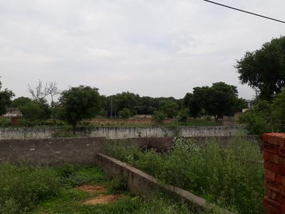 Project Image of 800 Sq.ft 2 BHK Villa for sale in Noida Extension for Rs. 4400000
