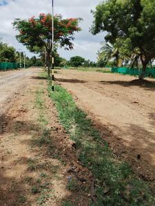 Project Image of 435.5 - 3825.0 Sq.ft Residential Plot Plot for buy in Vetri Avenue