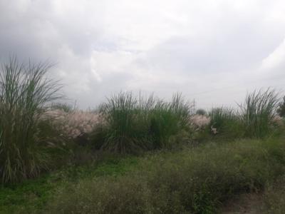 Project Image of 450.0 - 1800.0 Sq.ft Residential Plot Plot for buy in Vardah Aashiyana Enclave