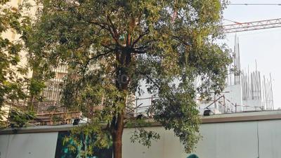 Project Image of 750.0 - 1050.0 Sq.ft 2 BHK Apartment for buy in Lodha Bellavista