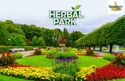 Project Image of 600.0 - 2180.0 Sq.ft Residential Plot Plot for buy in Signature City Phase II