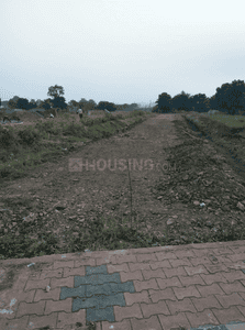 Project Images