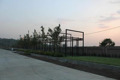 Project Image of 0.0 - 500.0 Sq.ft Residential Plot Plot for buy in Tirumala Padmawati