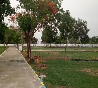 Project Image of 1800.0 - 2400.0 Sq.ft Residential Plot Plot for buy in Wisdom Sri Sai Garden