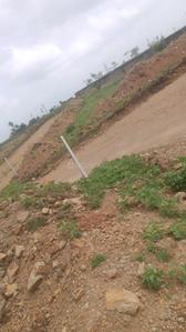 Project Image of 385.03 - 1519.97 Sq.ft Residential Plot Plot for buy in Kanchi Anand Hills View
