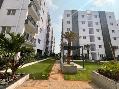 DSL Infrastructure Fortune Apartments Elevation 1