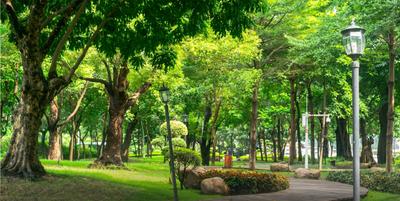 Project Image of 907.15 - 1614.59 Sq.ft Residential Plot Plot for buy in 3B Estate 95
