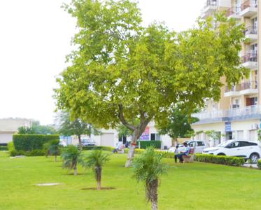 Project Image of 555.0 - 1210.0 Sq.ft 1 BHK Apartment for buy in Krish Icon