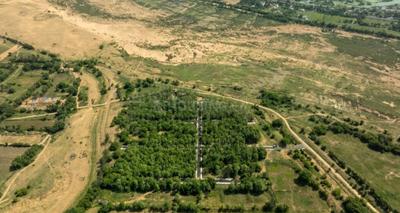 Project Image of 10000.0 - 17163.0 Sq.ft Residential Plot Plot for buy in Sai River Garden