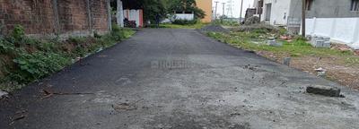 Project Images