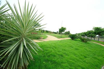 Project Image of 2700.0 - 4500.0 Sq.ft Residential Plot Plot for buy in Aparna Western Meadows