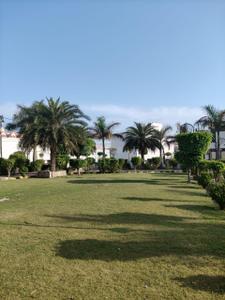 Project Image of 861.0 - 1884.0 Sq.ft Residential Plot Plot for buy in Hari Ashray Nagar Haridwar Residential Plots and Villas