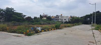 Pinnacle Plots Plot 1