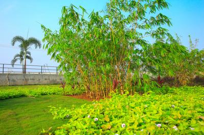 Project Image of 800.0 - 2400.0 Sq.ft Residential Plot Plot for buy in Ananda Habitat
