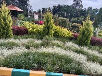 Project Image of 1200.0 - 2400.0 Sq.ft Residential Plot Plot for buy in Shree Durga Lake Vista