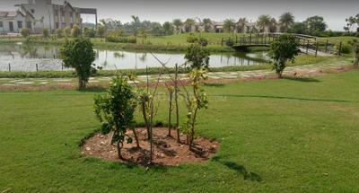 Project Image of 1114 Sq.ft Residential Plot / Land for sale in Bavla for Rs. 7686600