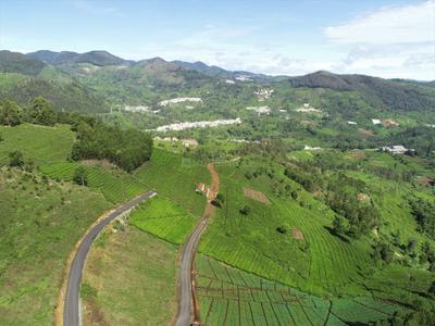 Project Image of 1000.0 - 15260.0 Sq.ft Residential Plot Plot for buy in Lushbergs