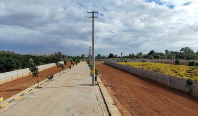 Sana Royal Heaven Elevation 1