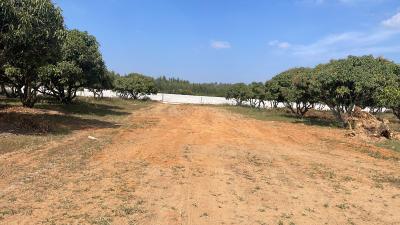 Project Image of 5178.0 - 11433.0 Sq.ft Residential Plot Plot for buy in PK Mango Nest Farmlands