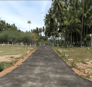 Project Images