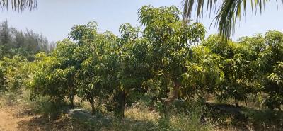 Project Image of 2178.0 - 5445.0 Sq.ft Residential Plot Plot for buy in City Anuttara Farms
