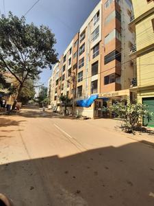 NR White Rose Elevation 3