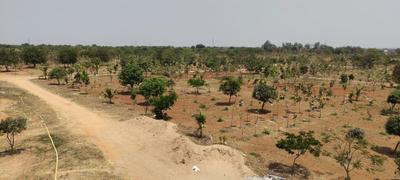 Project Image of 1089.0 - 5445.0 Sq.ft Residential Plot Plot for buy in Vaishnavi Emerald