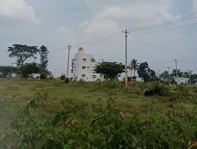 Project Image of 600.0 - 1200.0 Sq.ft Residential Plot Plot for buy in Dharithri Greens