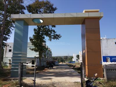 Project Images