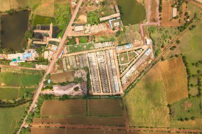 Project Image of 599.0 - 2137.0 Sq.ft Residential Plot Plot for buy in Chouhan Singapore Life City Phase IV