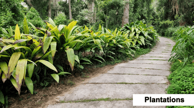 Project Image of 739.0 - 1627.0 Sq.ft Residential Plot Plot for buy in GTK CS Green Valley Phase I