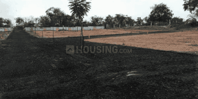 Project Images