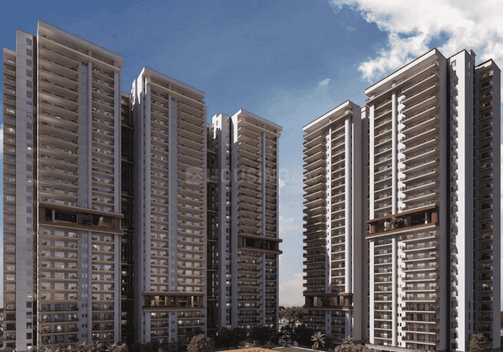 AU The Sunflower - Image 3