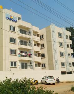 Project Image of 806.0 - 1266.0 Sq.ft 2 BHK Apartment for buy in Triguna Palm Grove