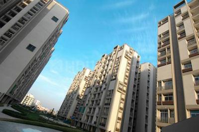 Project Image of 1776.0 - 2050.0 Sq.ft 3 BHK Apartment for buy in Pacifica Green Acres