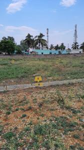 Project Image of 1000.0 - 1200.0 Sq.ft Residential Plot Plot for buy in Indus Enclave