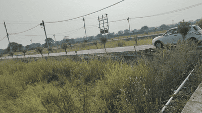 Project Images