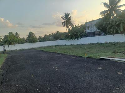 Project Image of 338.0 - 2244.0 Sq.ft Residential Plot Plot for buy in M A M Nagar