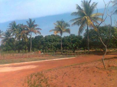 Project Image of 1108.0 - 2400.0 Sq.ft Residential Plot Plot for buy in Shriram Godhuli