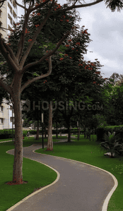 Project Image of 745.72 - 1012.02 Sq.ft 1 BHK Apartment for buy in Sobha Dream Acres Tropical Greens Phase 22 Wing 23 and 24