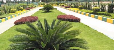 Project Image of 1200.0 - 2400.0 Sq.ft Residential Plot Plot for buy in Apna Pegasus Banyan Breeze