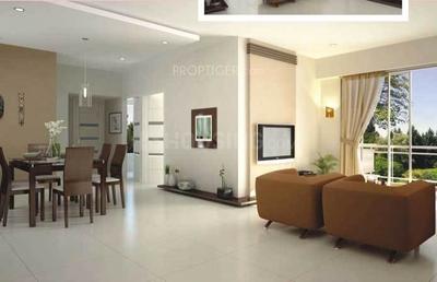 Project Images