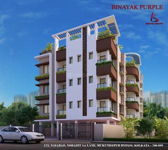 Binayak Purple Elevation 1