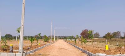 Project Image of 1350.0 - 2250.0 Sq.ft Residential Plot Plot for buy in Sun Shine County