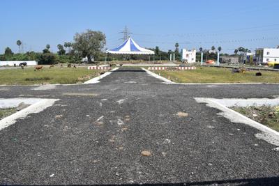 Project Image of 700.0 - 2047.0 Sq.ft Residential Plot Plot for buy in Madras Royal City