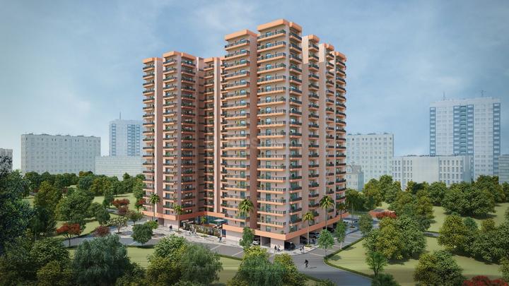 Arocon Rainbow - Image 3