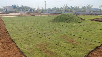 Project Image of 1319.76 - 4274.35 Sq.ft Residential Plot Plot for buy in TMR Green Meadows