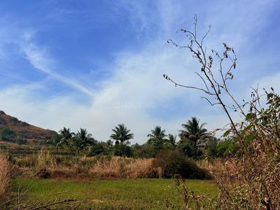 Project Image of 10763.91 - 21527.82 Sq.ft Residential Plot Plot for buy in VALORA VIBE