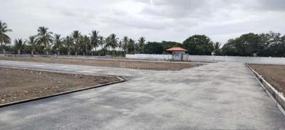 Project Images